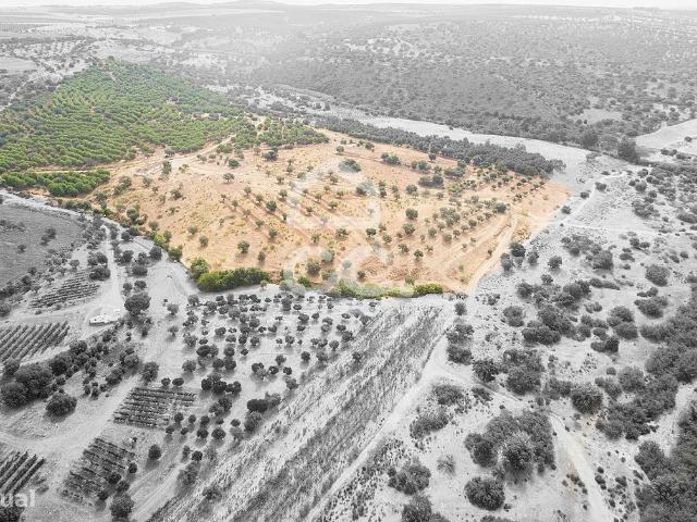 Herdade de 18,7 hectares com monte junto ao Guadiana | Serpa
