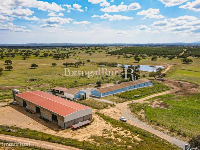 Herdade de 680ha com barragem e monte alentejano