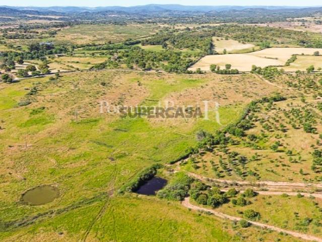 Herdade de 68 hectares em Medelim