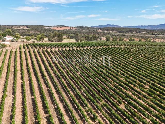 Herdade de 60 ha com Vinha, Adega e Pomar entre Borba e Estr. 682m² Arcos