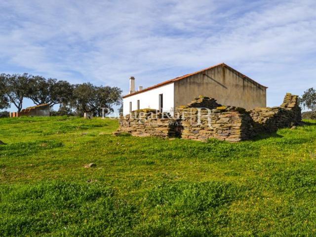 Herdade de 60 ha e monte, em Reguengos de Monsaraz 170m² Reguengos De Monsaraz