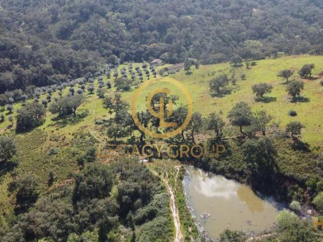 Herdade de 60 ha em Odemira | 26084008367