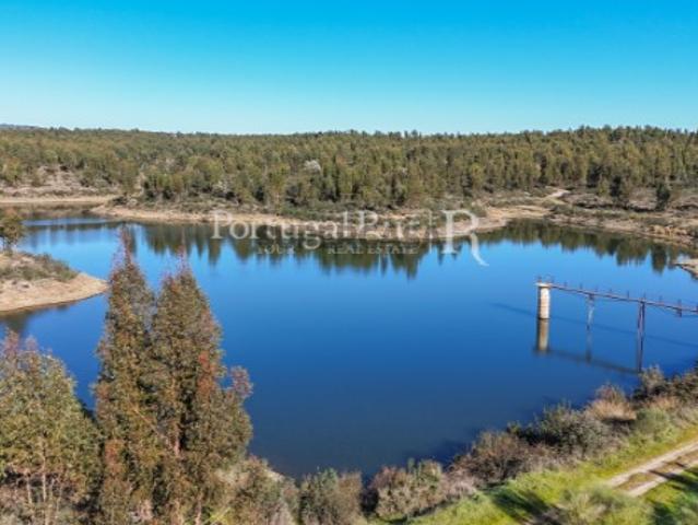 Herdade de 1000 ha com eucaliptal, ruínas e barragem