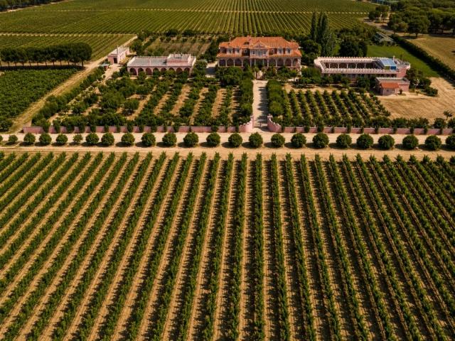 Herdade Exclusiva com 102 Hectares | Vinha em Produção | Adega Equipada | Palmela