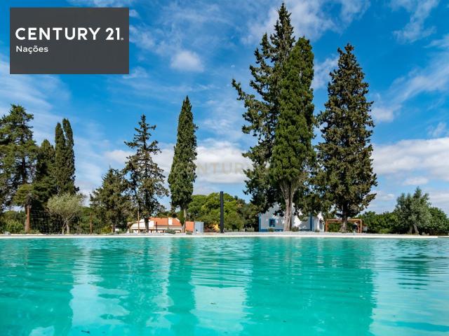 Herdade Exclusiva com 37 Hectares e Seis Residências | Oportunidade Prime de Investimento | Alcácer do Sal, Portugal