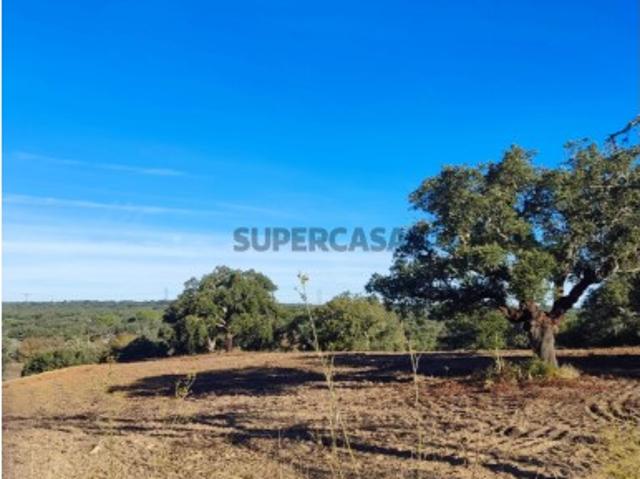 HERDADE EM ERMIDAS DO SADO