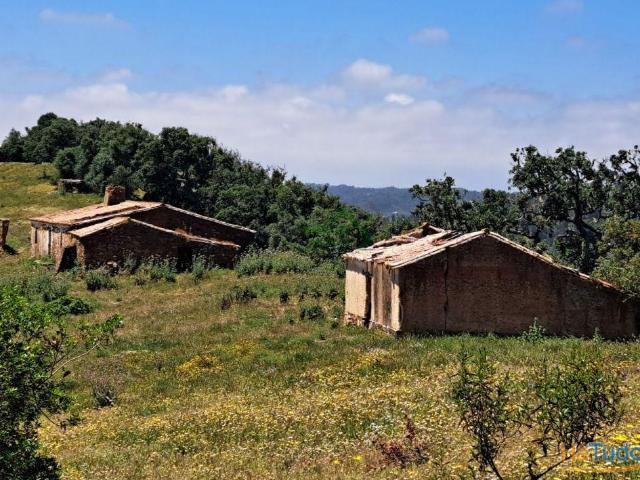 Herdade em são Luis | 26084060778