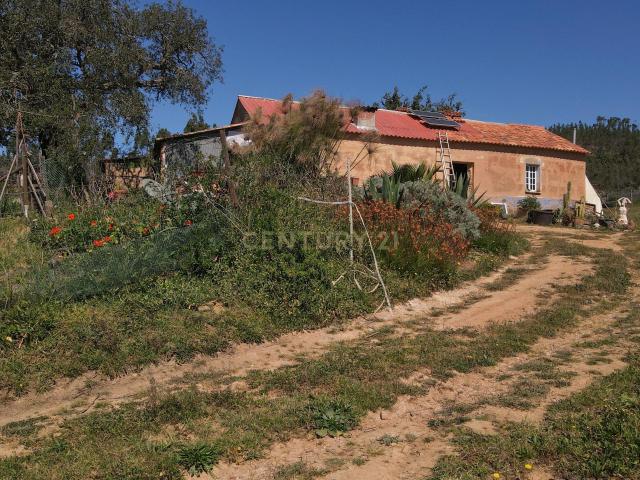 Herdade em S.Luis, Odemira