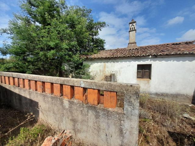 Herdade em Santana da Serra de 14 Hectares com casa de 100m2 para recuperar