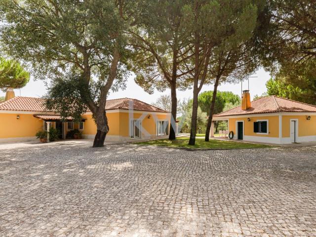 Herdade em Santo Estevão Benavente Para Venda