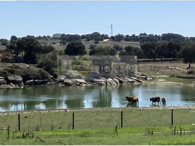 Herdade em vora com 270he e muita gua