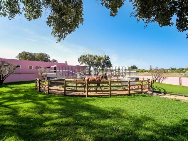 Herdade Equestre excepcional para treinar Cavalos em Palmela 1500m² Palmela