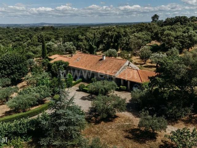 Herdade / Fundo, Castelo Novo