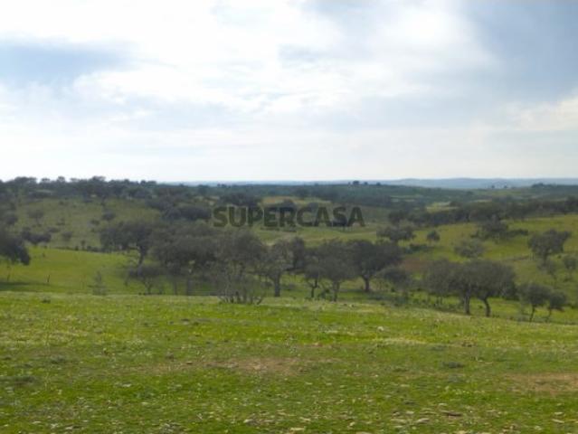 Herdade Ganadeira para Venda em Mértola
