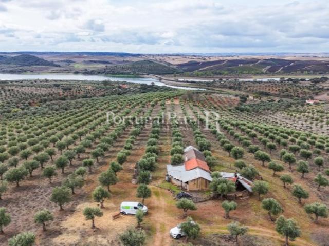 Herdade junto ao Alqueva com 15 hectares com Olival