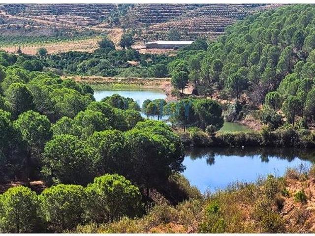 Herdade para Venda na Regio de Silves