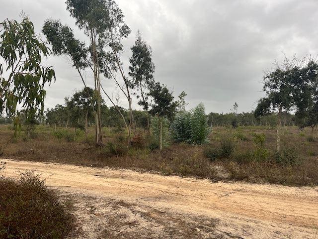 Herdade, para venda, Santiago do Cacém Santo Andre