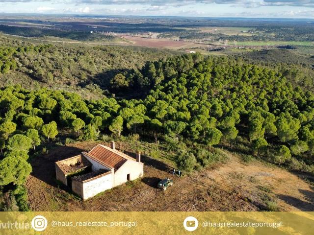 Herdade T5 Venda em Escalos de Baixo e Mata,Castelo Branco