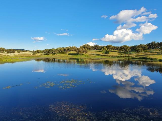 Herdade T7 Venda em Malpica do Tejo,Castelo Branco 1560m² Malpica Do Tejo
