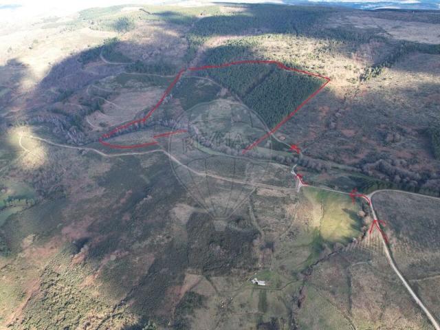 Herdade T0 à venda em Guarda