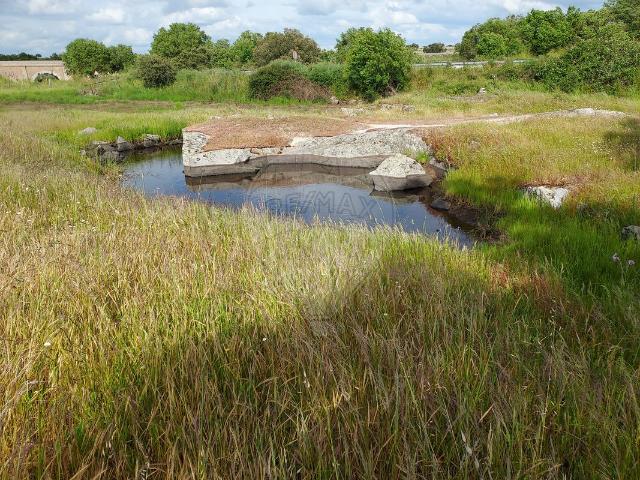 Herdade T0, Santa Eulália, Elvas | BPI Expresso Imobiliário