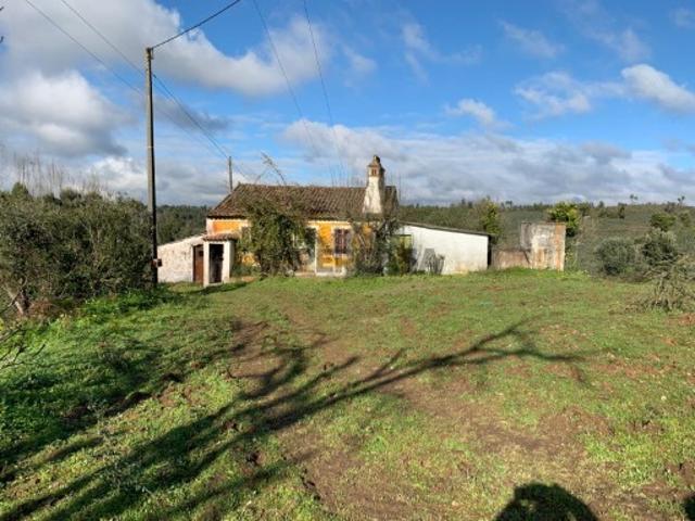 Herdade Venda em Martinchel,Abrantes