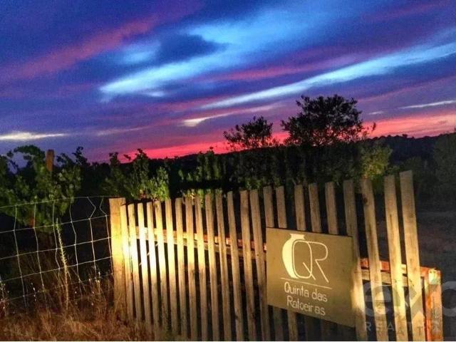 Herdade VinÍcola com Turismo Rural em Portugal 388m² Vila De Frades