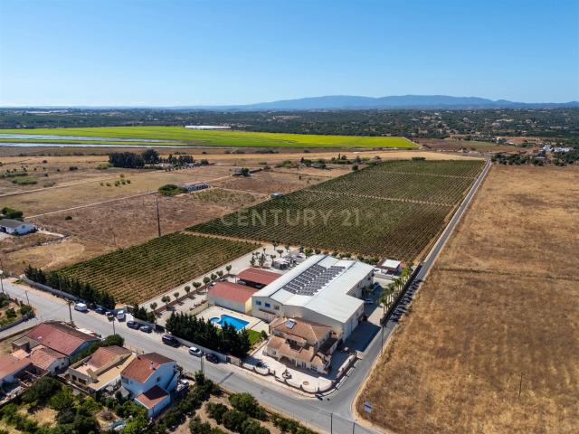 Herdade Vitivinícola de Excelência no Coração do Algarve 1521m² Silves