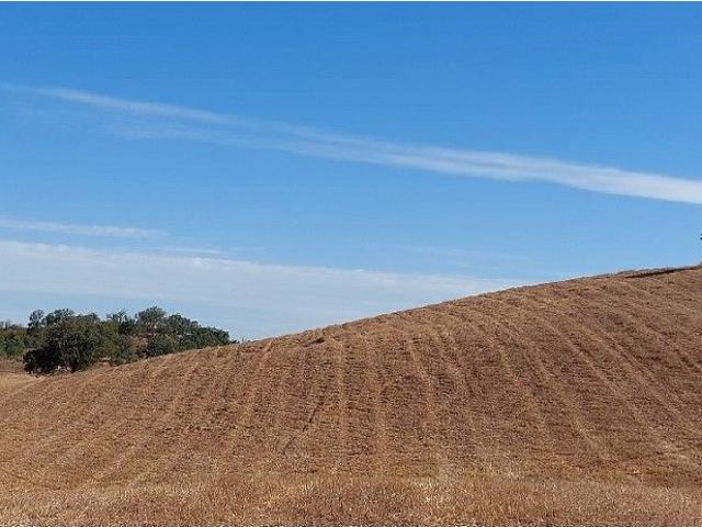 HERDADE 29 ha