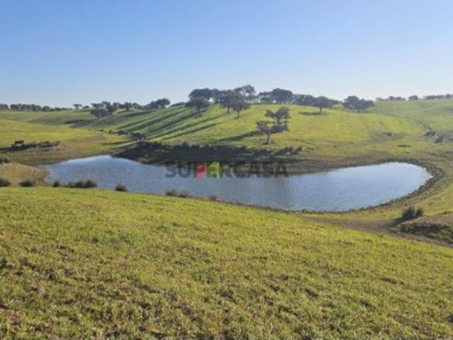 Herdade| 335 ha Beja, Alentejo