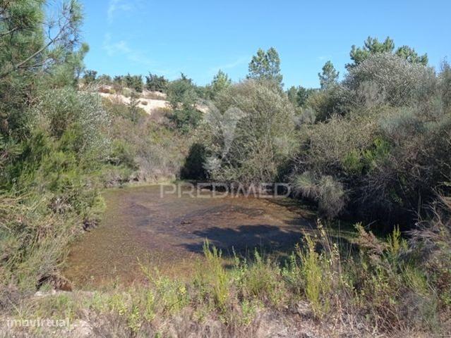 HERDADE 44 hectares em Margem, Gavio
