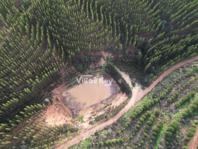 Herdade/Terreno, com viabilidade de construção em Odemira