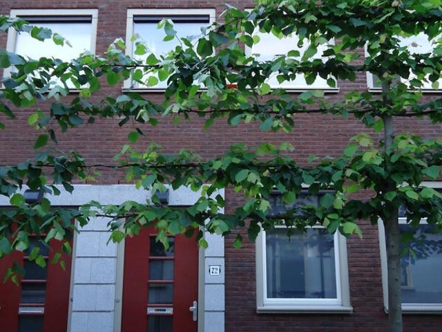 Herenhuis, tussenwoning te huur in Utrecht