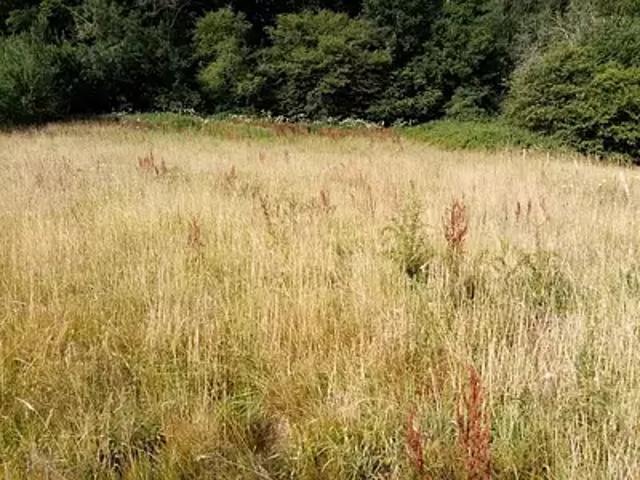 Héricourt en Caux 76560 Achat / Vente terrain