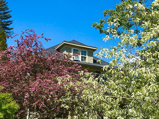 Heritage Home In The Avenues