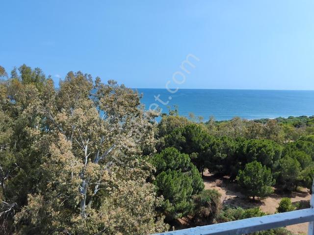 Herkes Ev Arıyor, Siz Manzara Kiralayın Eşyalı Kiralık 2+1 Daire