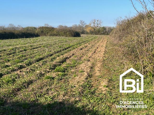 Hermanville sur Mer Vente Terrain 14