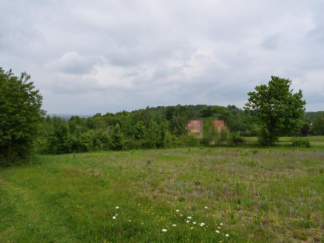 Hermanowa, 1 090 m2
