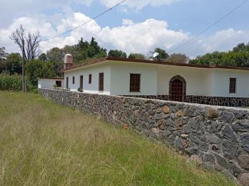 HERMOSA CASA EN SAN MIGUEL REGLA, HIDALGO
