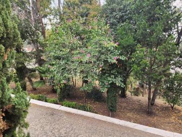 Hermosa Casa en Venta Recien Remodelada en Privilegiado Fraccionamiento