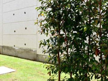 Hermosa casa independiente en venta en puembo