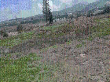 Hermosa Finca de Venta de 30 Hectareas en Tabacundo