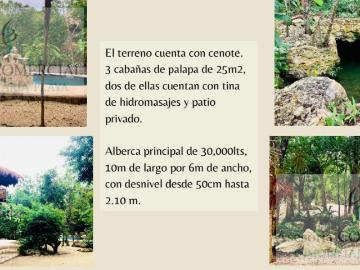 HERMOSA PROPIEDAD CON CENOTE. TULUM NUEVE FRENTE A BAHÍA PRINCIPE Bahías de Punta Solimán