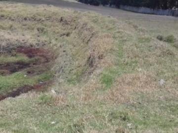 Hermosa Prropiedad De 7 Hectareas En Tabacundo