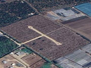 Hermosas parcelas plantadas paltos en producción