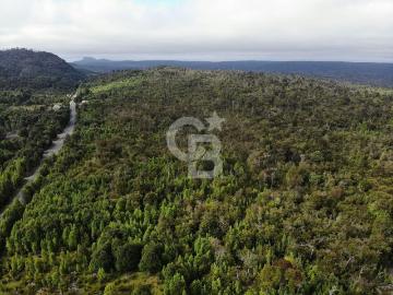 Hermoso campo con bosque y río en carretera Austral | 0 Dormitorios por 1516900. 00 en Hualaihué