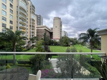Hermoso departamento en palmetto bosque real