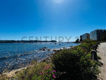 Hermoso departamento estilo mariposa con vista al mar en Pingueral