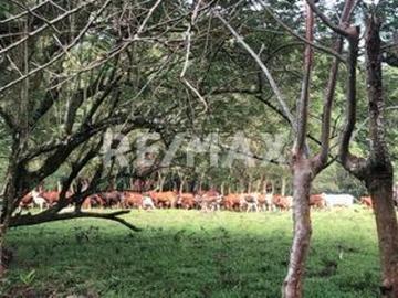 Hermoso Rancho en Catemaco, Veracruz Coxcoapan 4