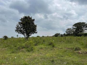 Hermoso Rancho ganadero y agricola